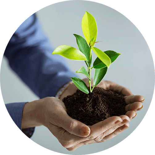 Employee Wellbeing & Assistance Program Thumb