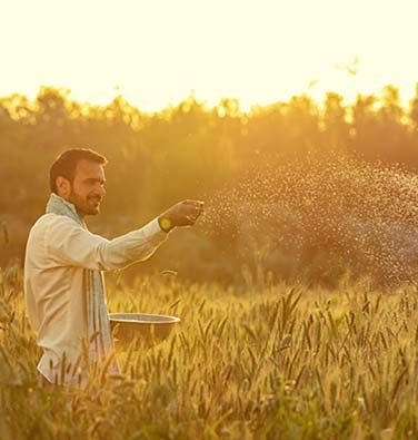 Farmer watering a crop field